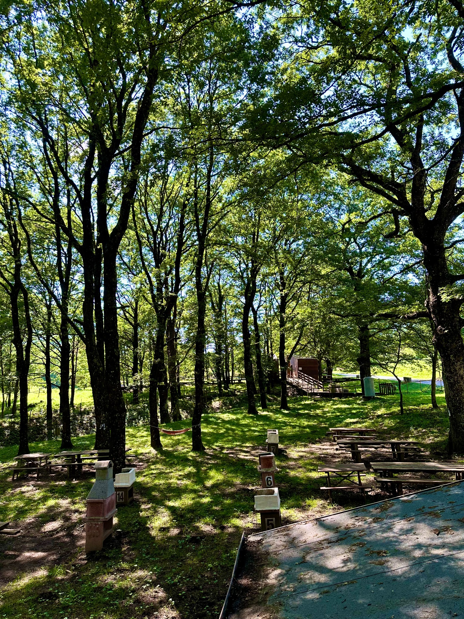 Area Picnic Il Tasso del Taburno