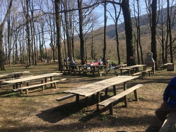 Verde area picnic