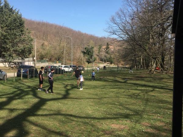 Spazio nel bosco