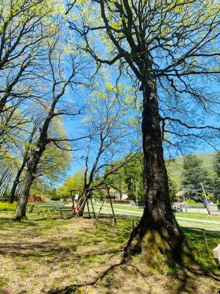 Nuovo scorcio dell'area picnic