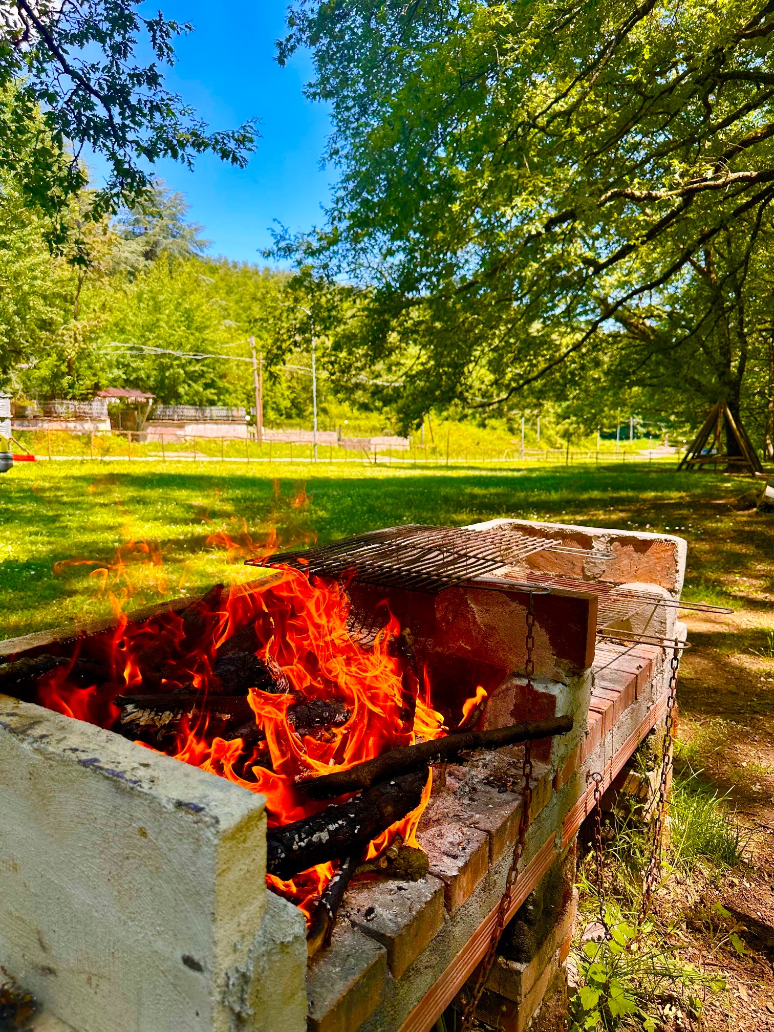 Barbecue acceso nell'area picnic