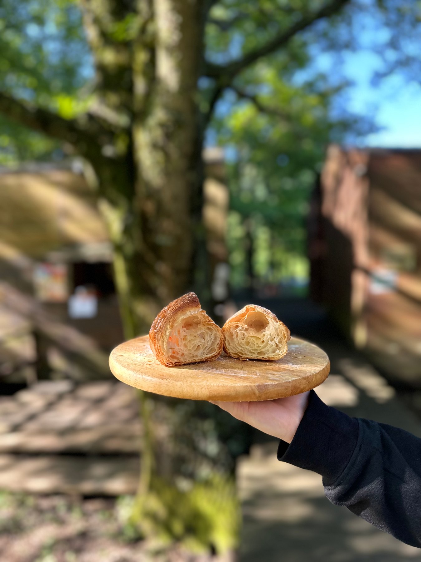 Colazione servita nel bosco
