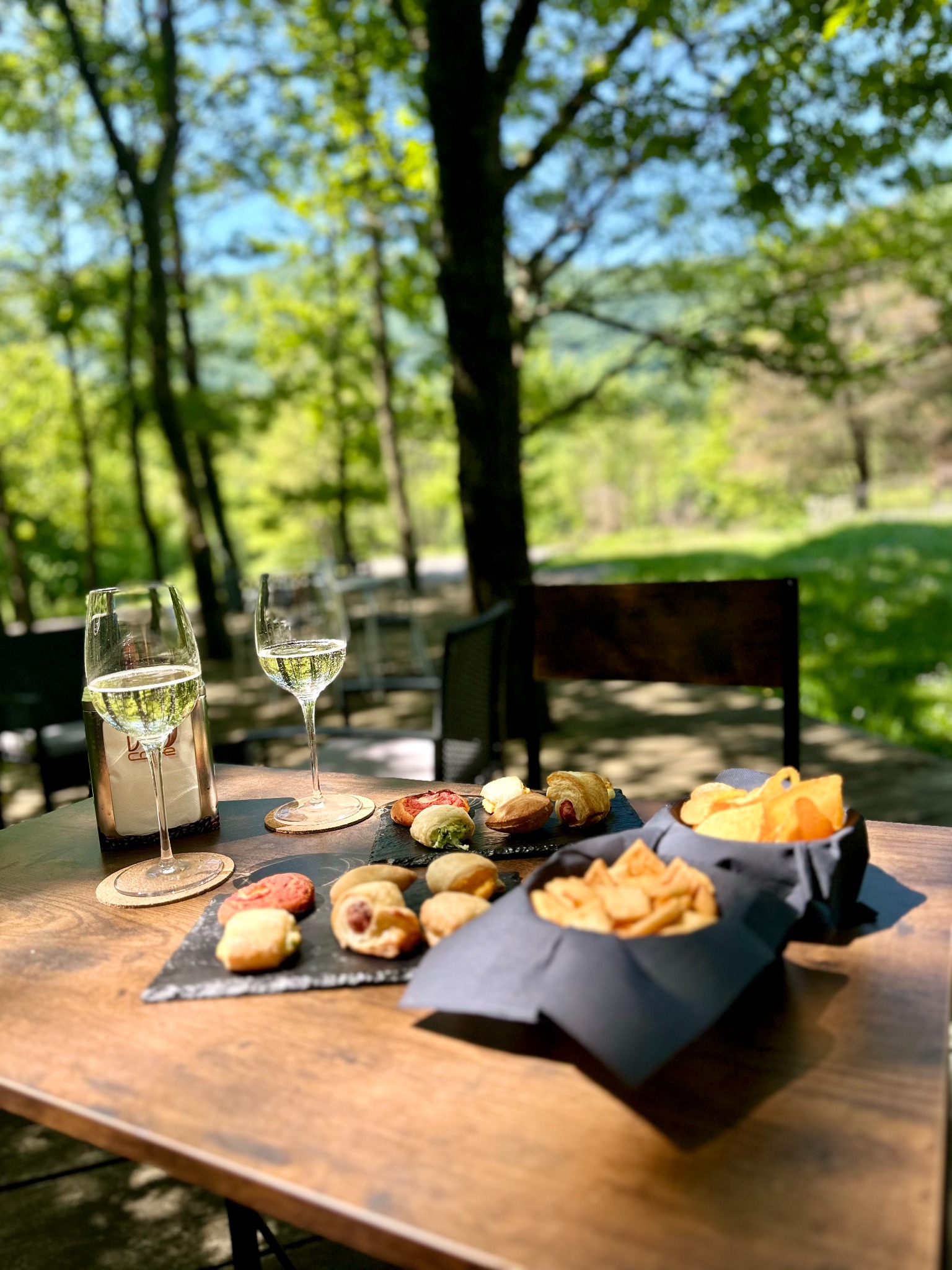 Tagliere e aperitivo nel verde